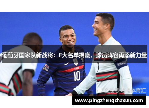 葡萄牙国家队新战将：F大名单揭晓，球员阵容再添新力量